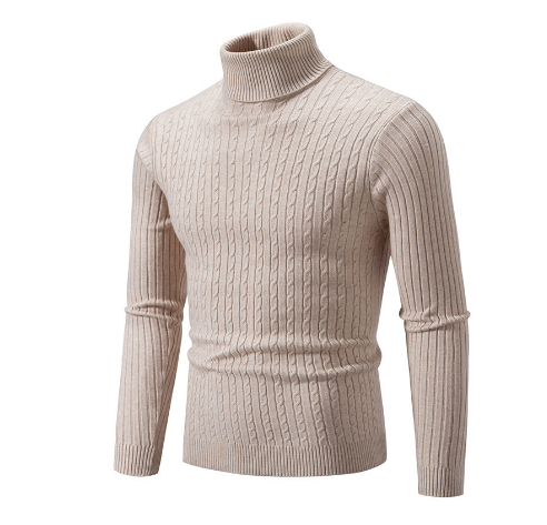 Herren Rollkragenpullover | Winter